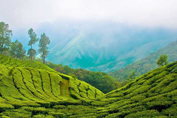 Munnar is now 5 nights holiday destination