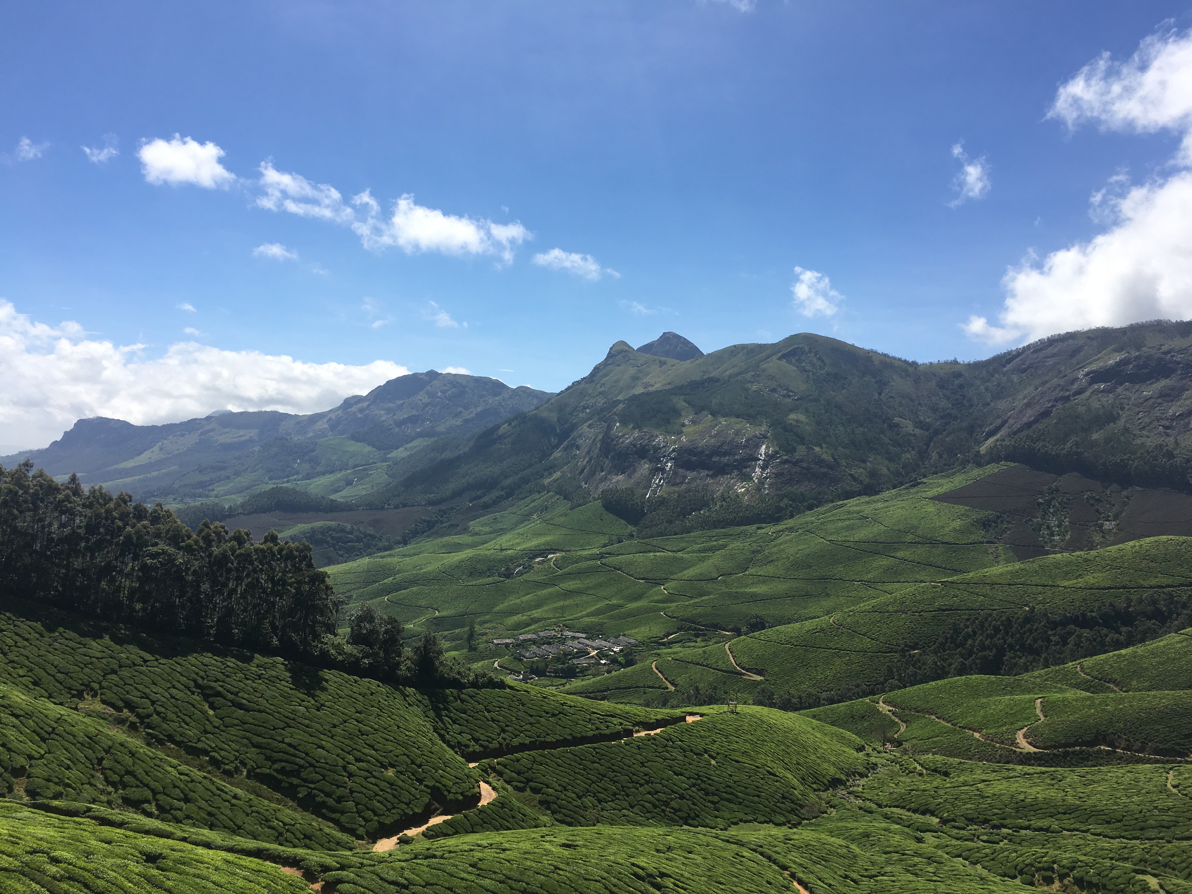 Tea Plantations in Kolukkumalai