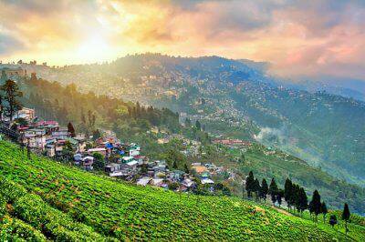 Darjeeling landscape