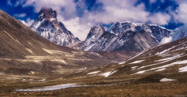 Yumtang Valley, sikkim